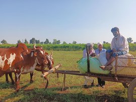 ‘पिकांच्या किंमती ठरवणं आमच्या हातात नाही’