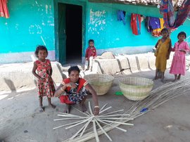 Wilting mahua, wasted baskets, silent haats