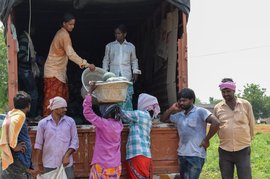 মন্দার জেরে শিকে ছিঁড়ল না তরমুজ চাষিদের ভাগ্যে