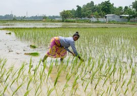 লক্ষ্মী টুডুর অশেষ ক্ষতির আঁধারে আশার আলো নেহাতই ক্ষীণ