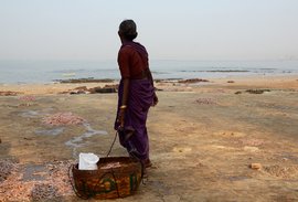 The migrant fish workers of Dongarpada