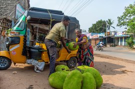 పణ్రుటిలో లక్ష్మి కట్టిన ఇల్లు