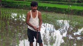 Kirugavalu’s desi ‘farming scientist’