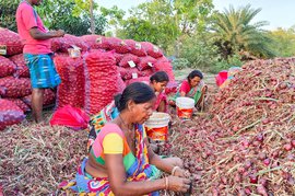 ముర్షిదాబాద్‌లో: పొట్టకూటి తర్వాతే వోటైనా, భాషైనా, మరేదైనా...