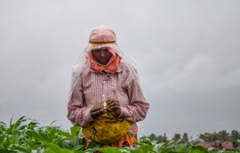 "एवढं राबतो, तरी पैसा मागे पडत नाही"