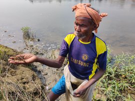 కంసావతి నదిలో చేపల కోసం స్వేచ్ఛ కోసం అన్వేషణ