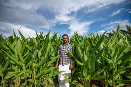 হলুদ যুদ্ধে জয়ী তামিলনাড়ুর সংগ্রামী কৃষক থিরু