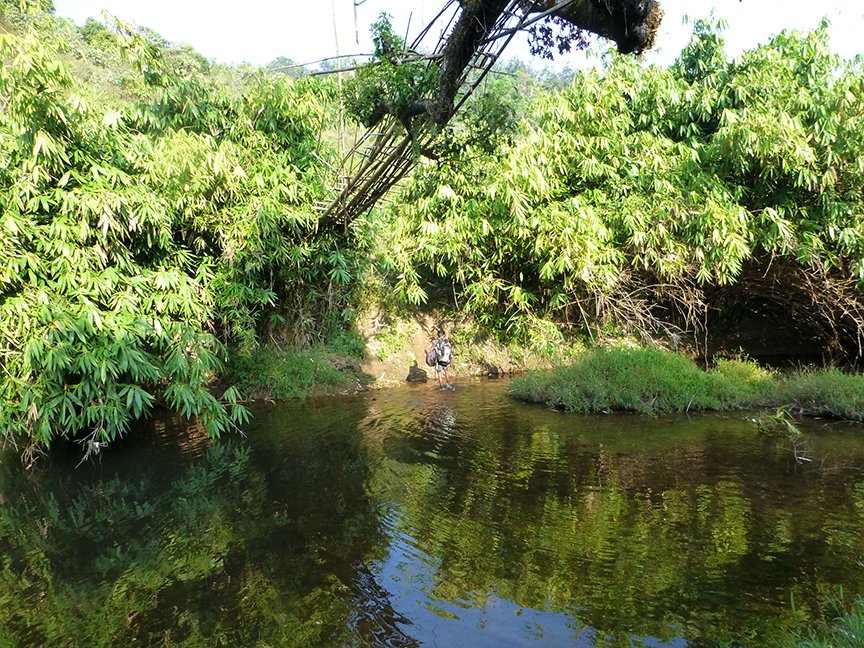 A modified bridge over a water body