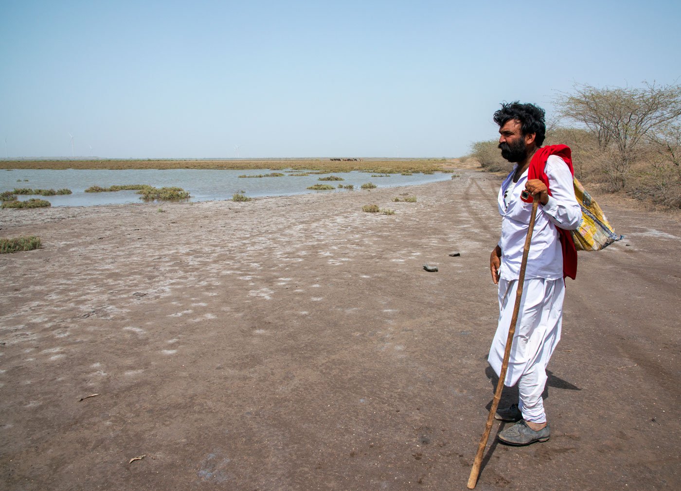 Jethabhai Rabari looking for his herd of camels at the Marine National Park area in Khambaliya taluka of Devbhumi Dwarka district