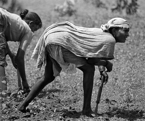 Woman bending and working in the fields