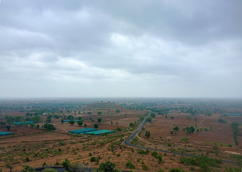 Paan fields are covered with a green synthetic net (left) in Kukdeshwar village of Neemuch district and so is Prakash Bundiwaal's paanwari (right)