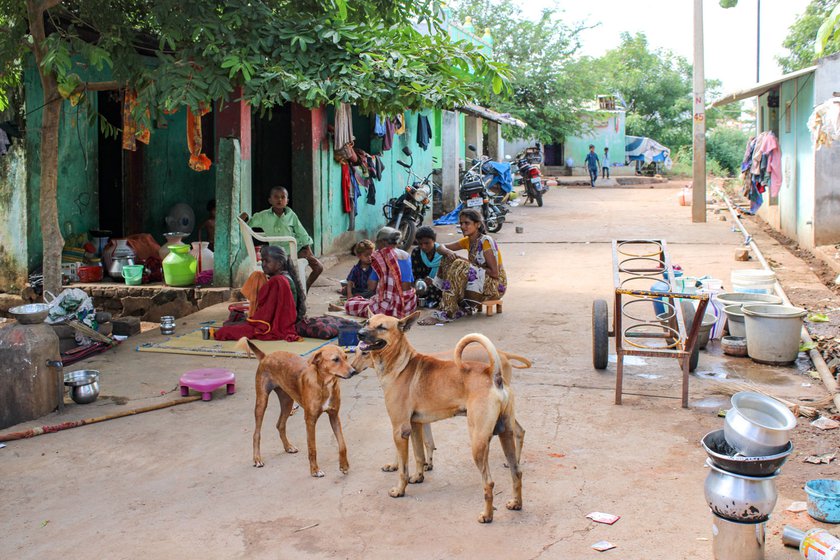 lives in Sakkimangalam village in Madurai district of Tamil Nadu