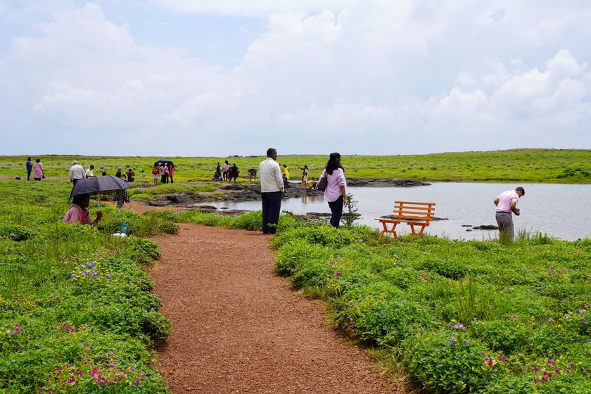 The average footfall of tourists (right) crosses 2,000 every day during the flowering season