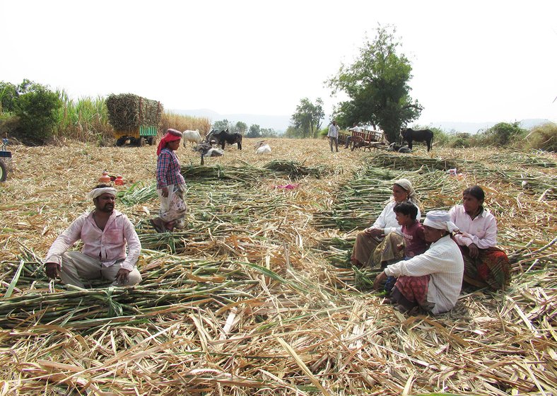 Workers in the sugarcane fields taking a break for lunch