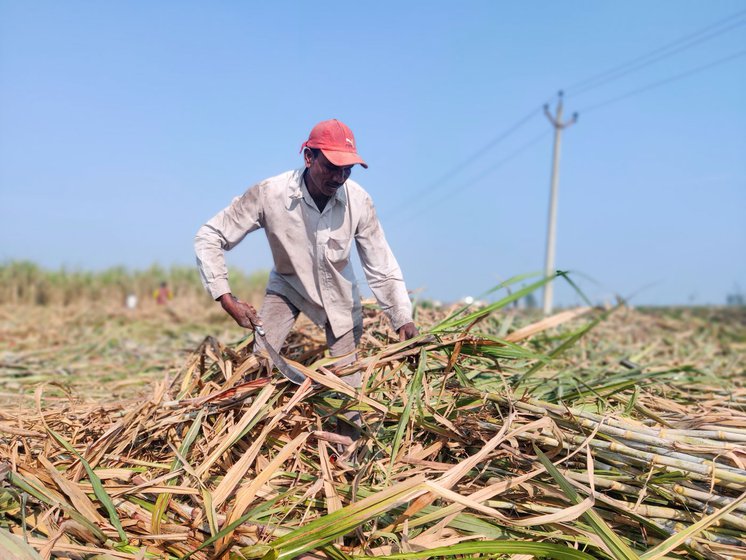 Ramesh Sharma makes more money as a farm labourer in Haryana than he does cultivating his land in Bihar's Shoirgaon village