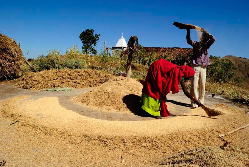 A tribal family in Attha village separating jowar from the chaff. Sorghum, millets and maize are the main cereal crops that the Adivasis cultivate in this region. The produce is just about enough for their own consumption for a year; they don’t sell any of it