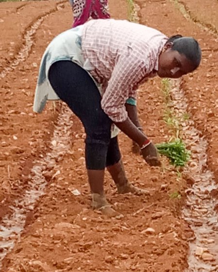 Sagarika works as an agricultural labourer, and at MGNREGA sites when work is available