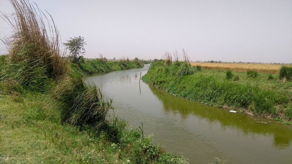 Palla, on the Haryana-Delhi border, where the Yamuna enters the capital