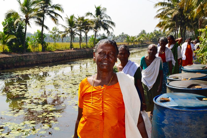 MNREGA workers getting in to work at the 100 acre paddy field in Kallara, ready to begin the harvesting of the crops