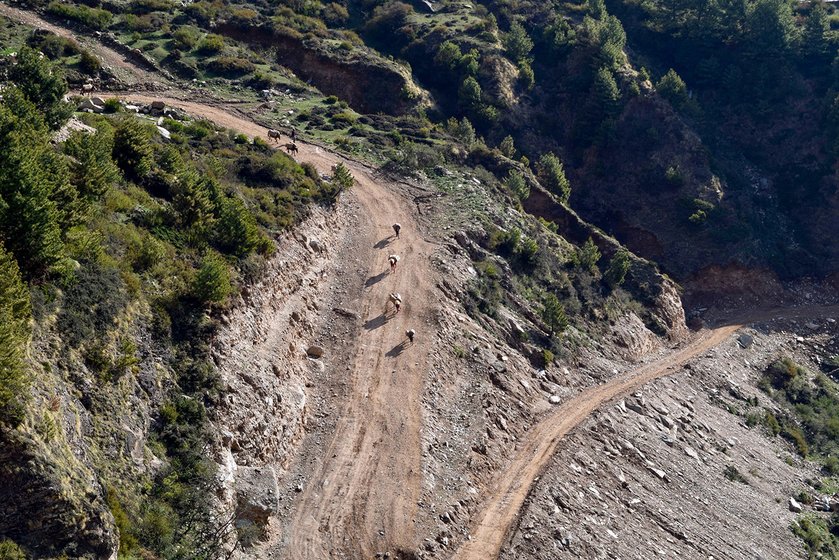 The newly levelled road constructed by BRO from Chiyalekh to Garbyang village