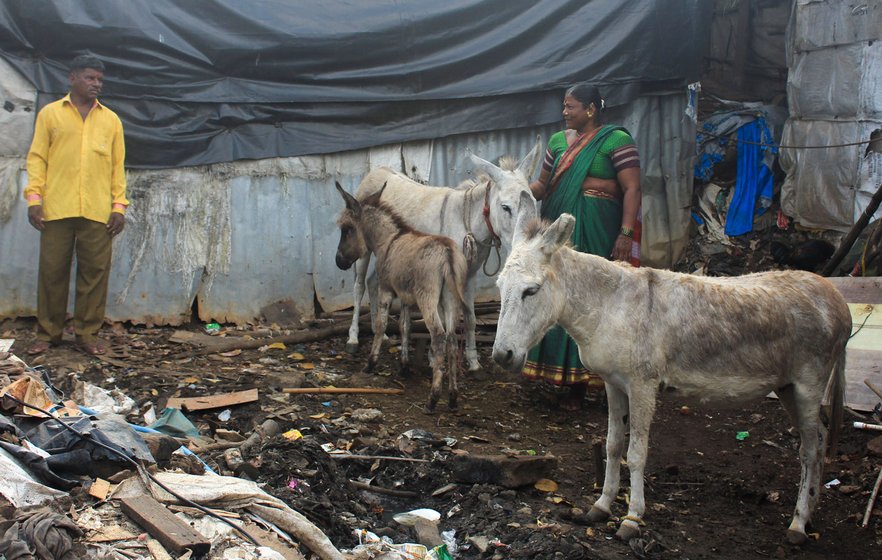 Left: Anand Jadhav and his little cousin Yuvraj Shinde, both used to the donkeys in their midst. Right: Sukhdev and Jayshri with their menagerie 

