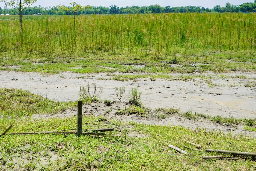 Right: Although it is time to sow seeds, not a single farmer in Bagribari has been able to do it because it is impossible to farm land covered in sand