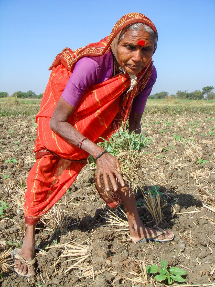 Shakuntalabai and Buribai: their families are asleep when the women get home, and asleep when they leave in the mornings