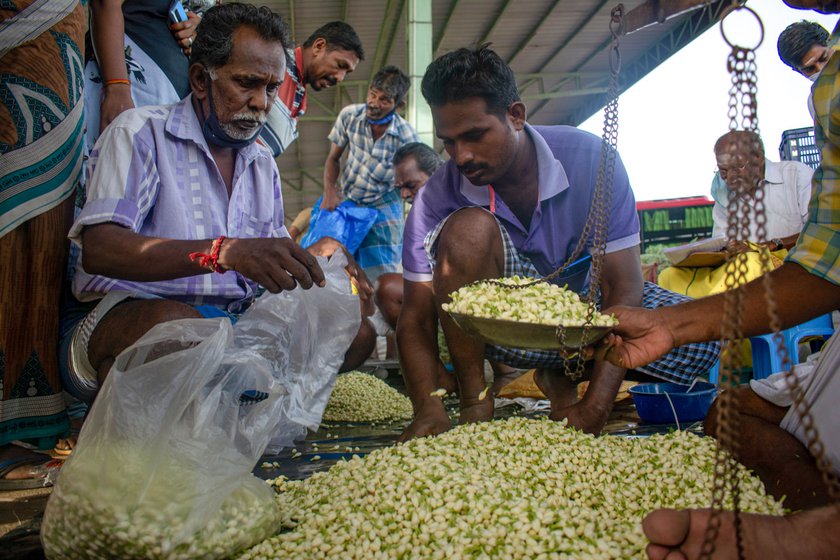 Right: Jasmine buds are weighed using electronic scales and an iron scale and then packed in covers for retail buyers