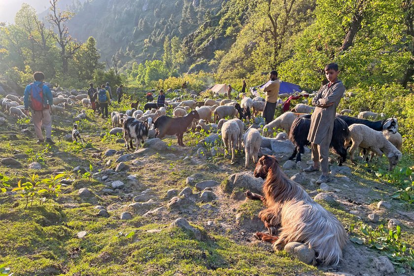 Imran (right) is one of the youngest herders who will travel with his family to Lidwas.