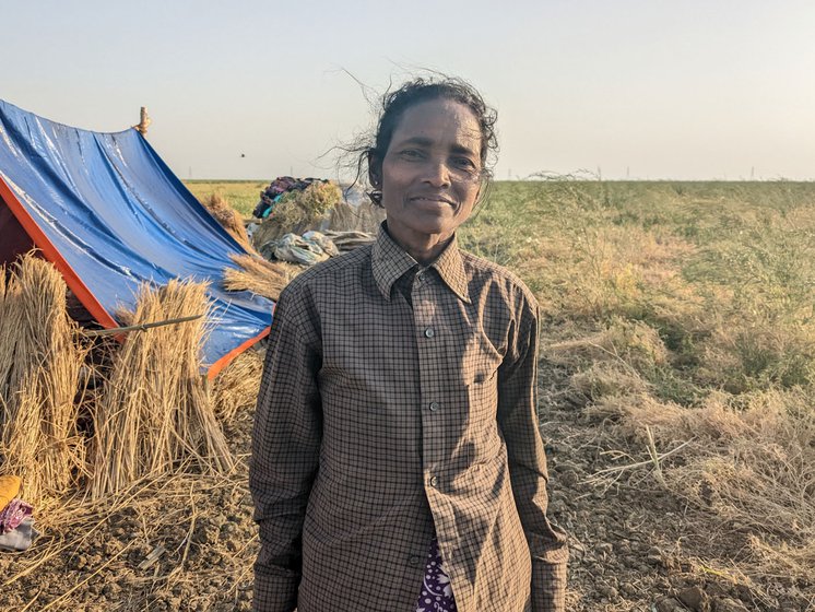 Anita Marandi (left) and Suhagini Soren (right) work as migrant labourers in Mokameh Taal, Bihar. They harvest pulses for a month, earning upto a quintal in that time