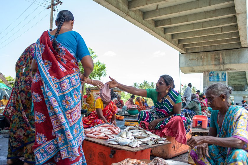 Auctioneers like Maneesha get to work once the fish comes into the harbour. Some fish need to be kept in a ice box to prevent them from getting spoilt while some are kept in the open (left)