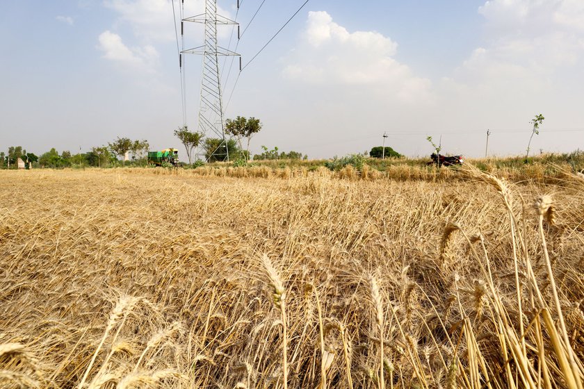 Left: Farmland in Bhaliana village, destroyed by the changing climate.