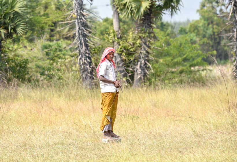 The Irula families of Bangalamedu depend on hunting for their meals. Left: M. Radha waits to trap a rabbit. Right: G. Subramani, catapult in hand, looks for birds

