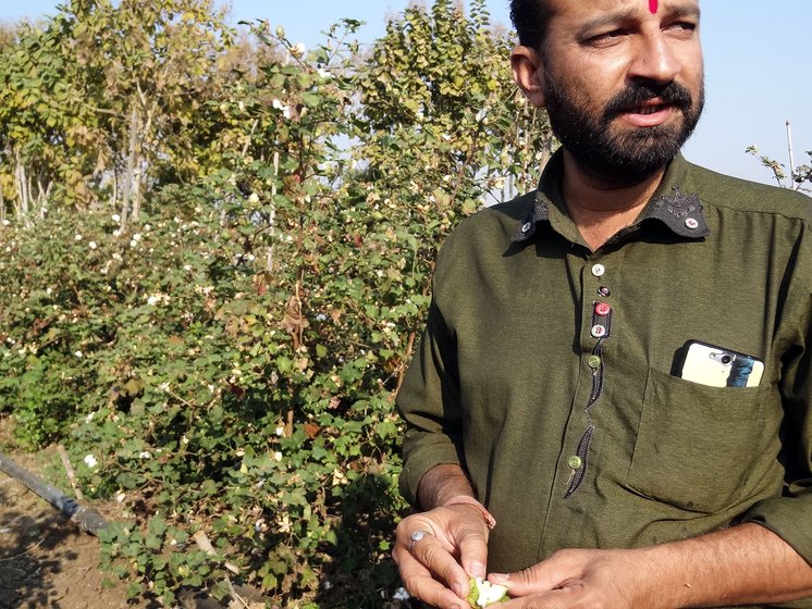 A man with cotton in hand