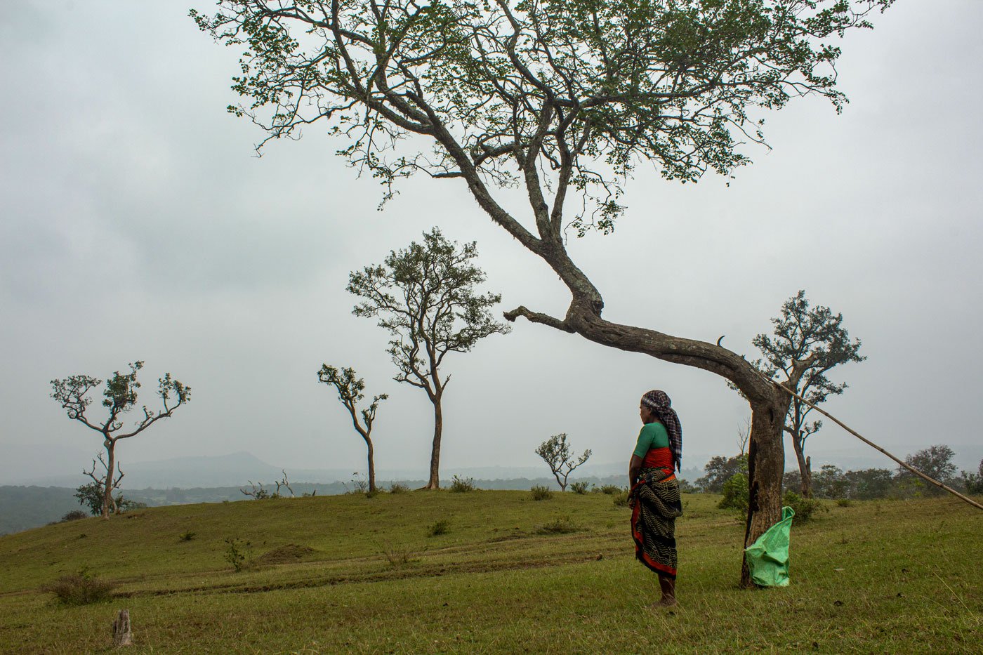 Before entering the forest, amma likes to stand quietly for a few moments to observe everything around her