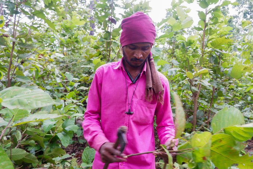 Left: Eight years ago, Ajit migrated to Punjab, where he works as a daily wage labourer, earning Rs. 250 a day.