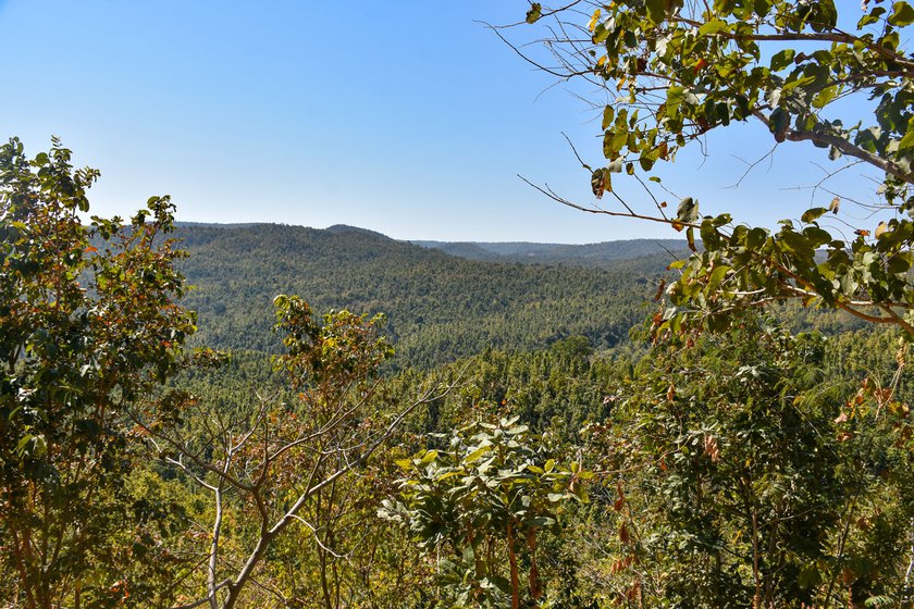 Left: Hills near Anjan village where people believe Anjani Ma, an Adivasi goddess, resides.