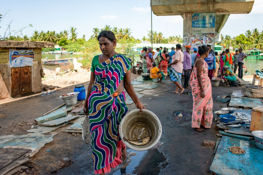 Besides fish, Maneesha also sells milk (right)