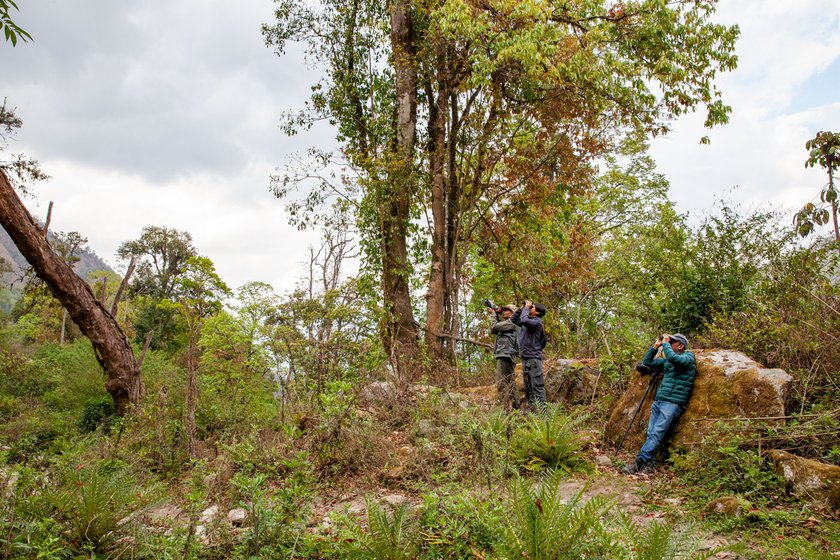 Birders at the SBVCR hoping to catch a glimpse of the bird