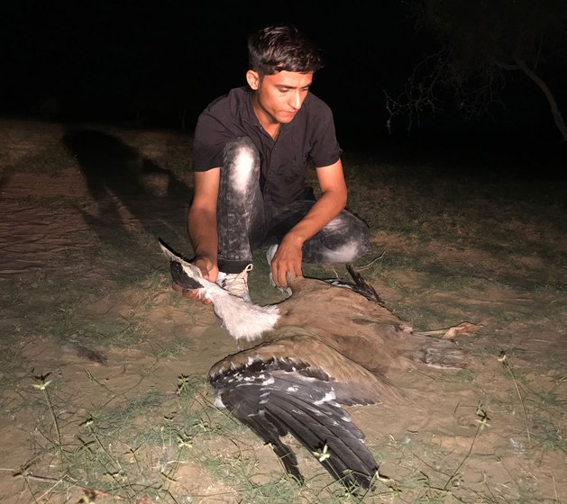 Left: The remains of a dead griffon vulture in Bhadariya near a microgrid and windmill.