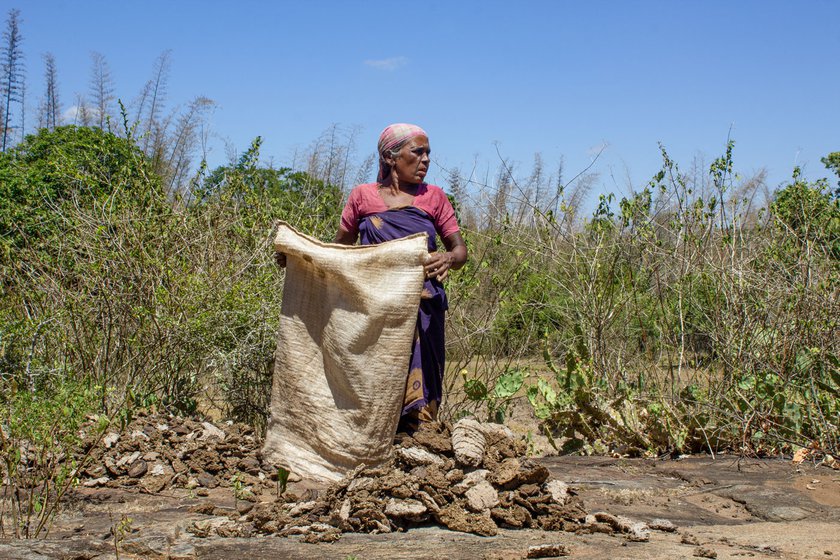 Left: Amma collects and sells dry cow dung to the villagers. This helped fund my education.