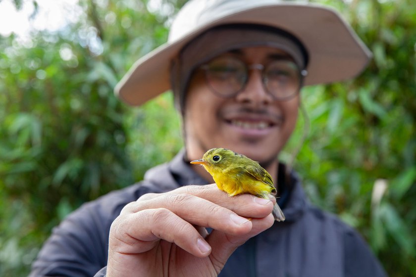 Right: Kaling Dangen holding a Whistler’s Warbler