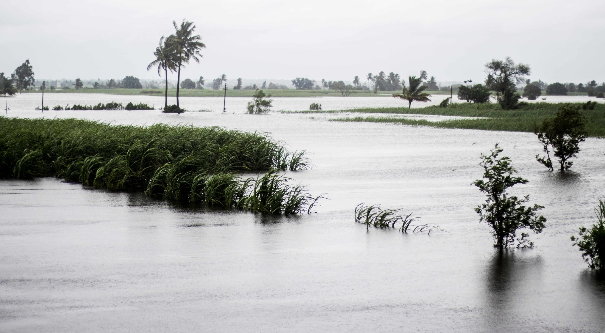 Submerged sugarcane fields.