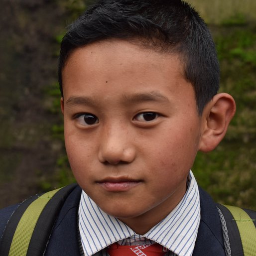 Pawan Rai is a Student (Class 8) from Jore Bunglow, Jorebunglow Sukiapokhri, Darjeeling, West Bengal