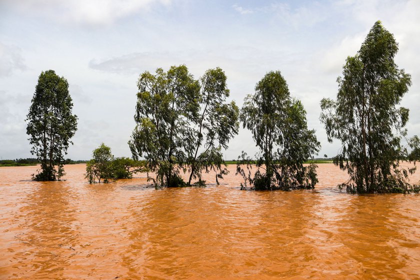 Recurrent flooding rapidly destroys farms and fields in several villages in Shirol taluka