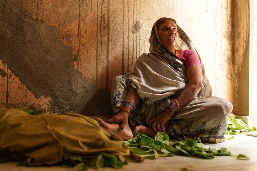 Ranjit Chaurasia’s mother (left) is segregating betel leaves. A single rotting leaf can damage the rest when kept together in storage for 3-4 months. 'You have to wrap them in wet cloths and keep them in a cool place, and check daily if any leaves are rotting and immediately remove them or it will spread to other leaves,' says Ranjit (right)