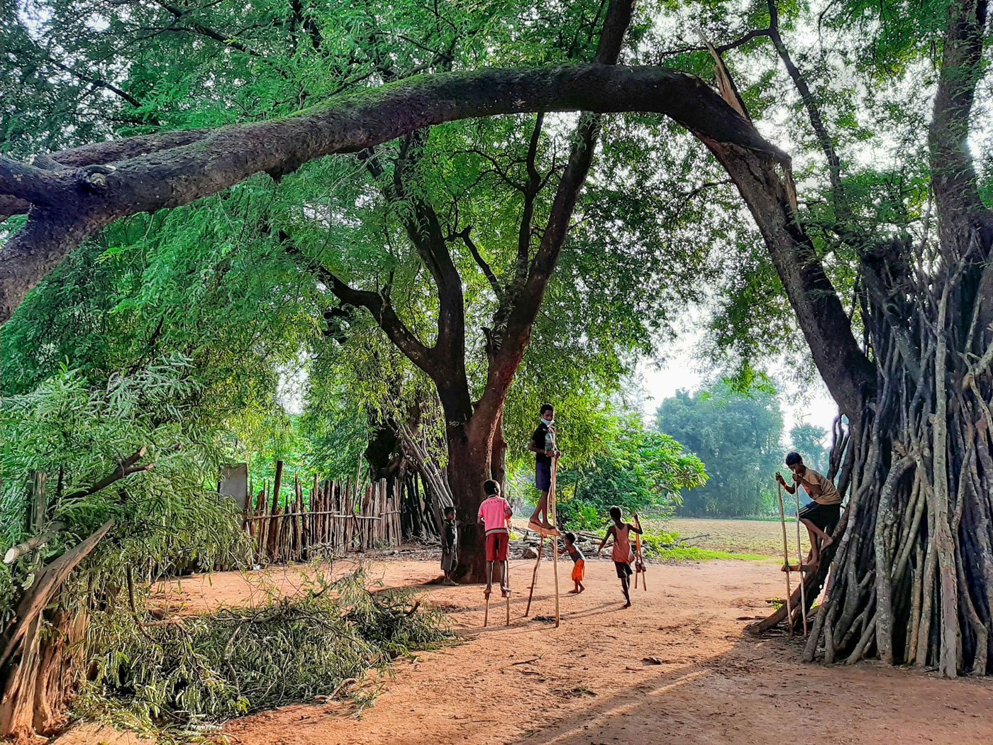 Young boys in Kivaibalega village of Chattisgarh playing horse riding. The game is known as ghodondi in the Halbi and Gondi languages