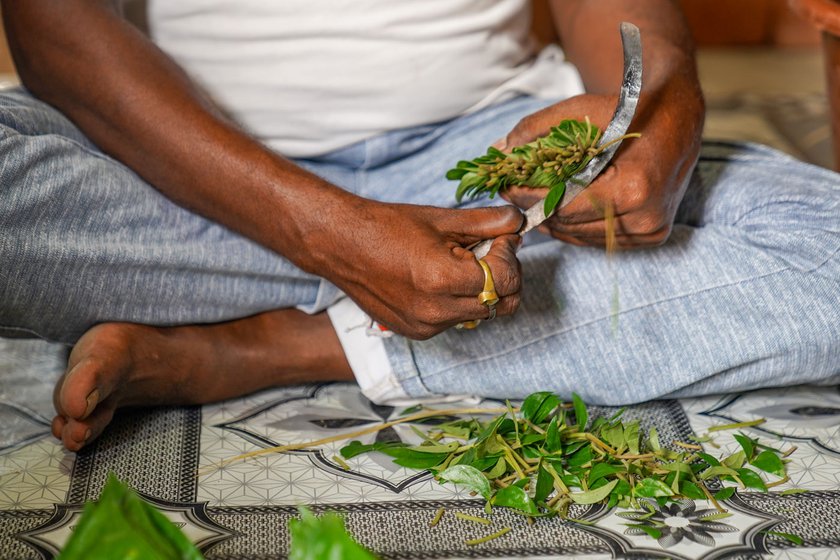 In its one year life, a Magahi betel plant produces at least 50 leaves. A leaf is sold for a rupee or two in local markets as well as in the wholesale mandi of Banaras in Uttar Pradesh. It is a cash crop, but the Bihar government considers it as horticulture, hence farmers do not get benefits of agricultural schemes