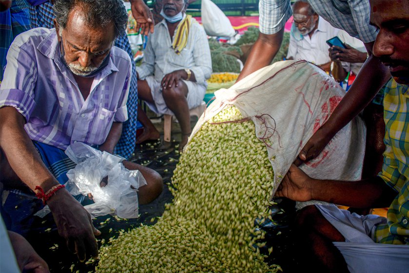 Right: Heaps of jasmine buds during the brisk morning trade. Rates are higher when the first batch comes in and drops over the course of the day