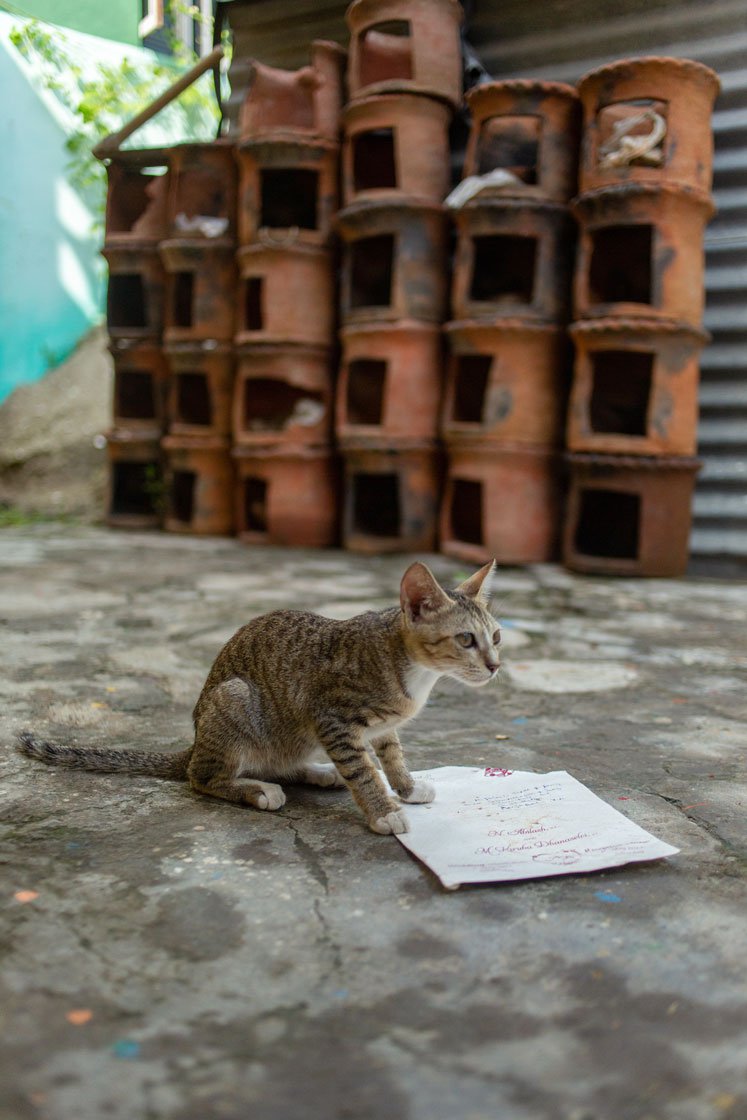 Left: Athipattu's idol maker carrying water which will be used to smoothen the edges of the idols; his cat (right)